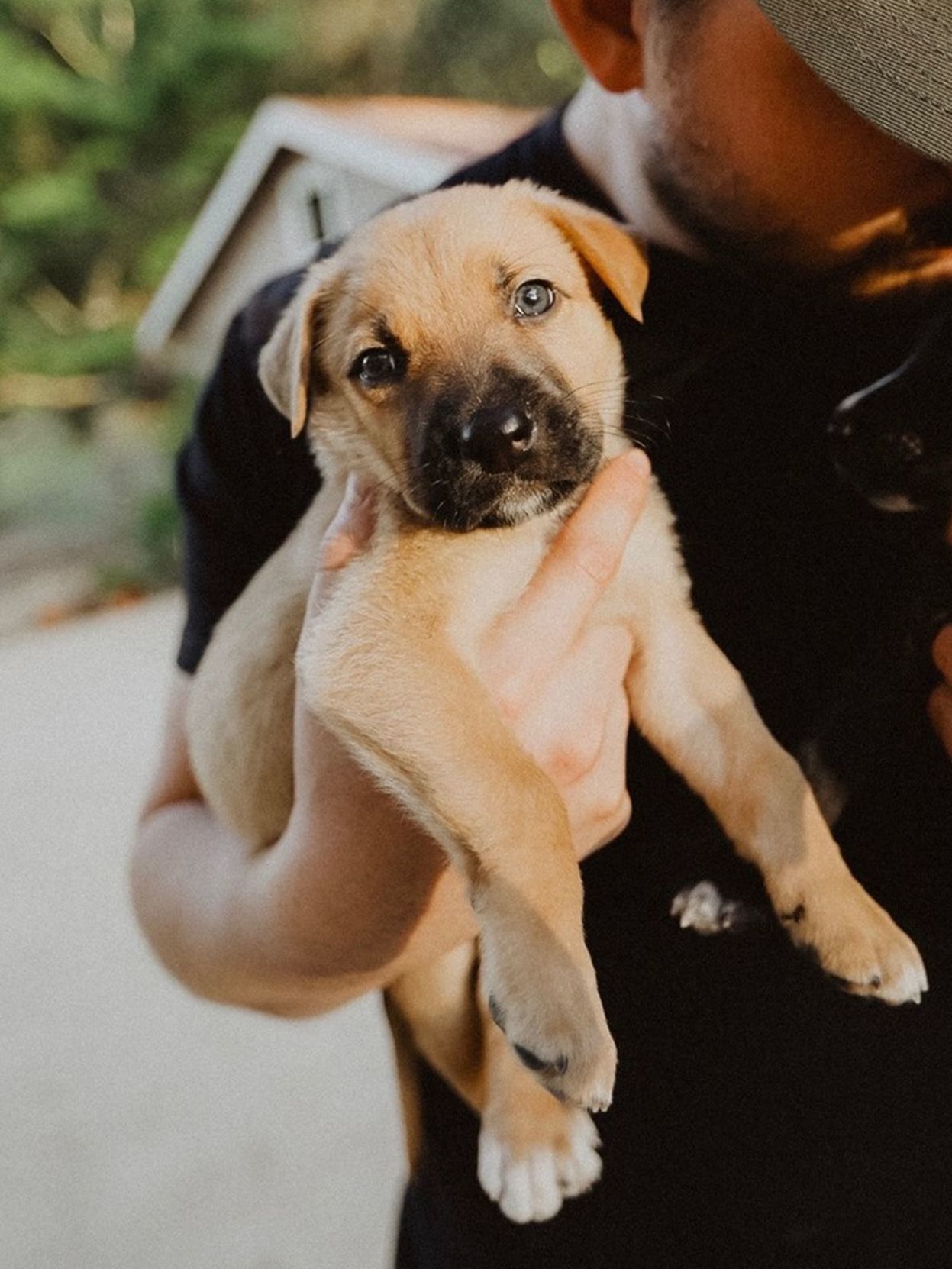 Adopt a Pet | Herschel